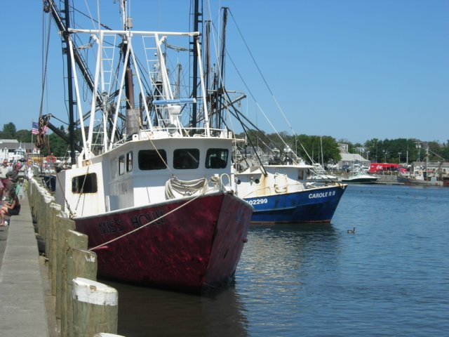 Photograph