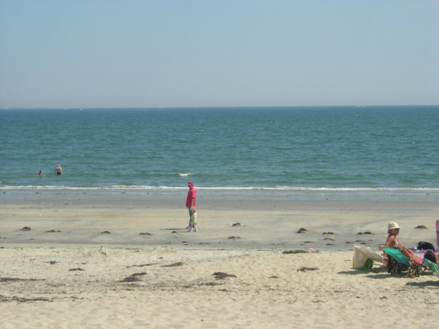 Photograph