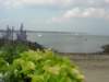 Photo Number 7