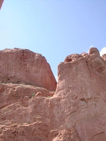 Photograph
