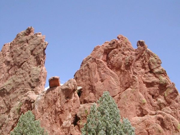 Photograph