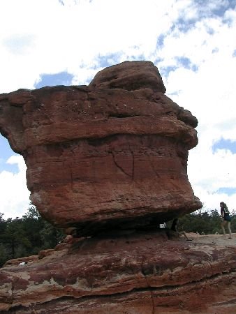 Photograph