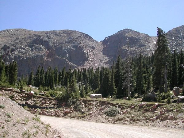 Photograph