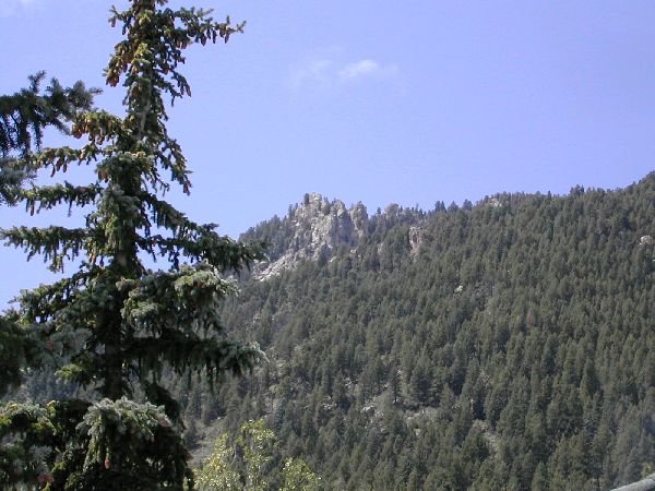 Photograph